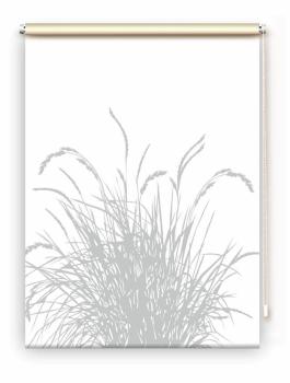 Rollo Reed24 lichtgrau, Rollo, Motivrollo, Rollo mit Druck, Fotorollo, bedrucktes Rollo, Fensterrollo,verdunkelndes Rollo, Sonnenschutz Rollo